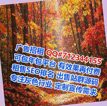 海外代生汽车服务工作室